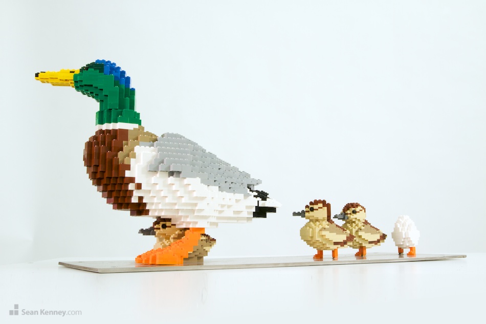 Greatest LEGO artist - Father duck and ducklings