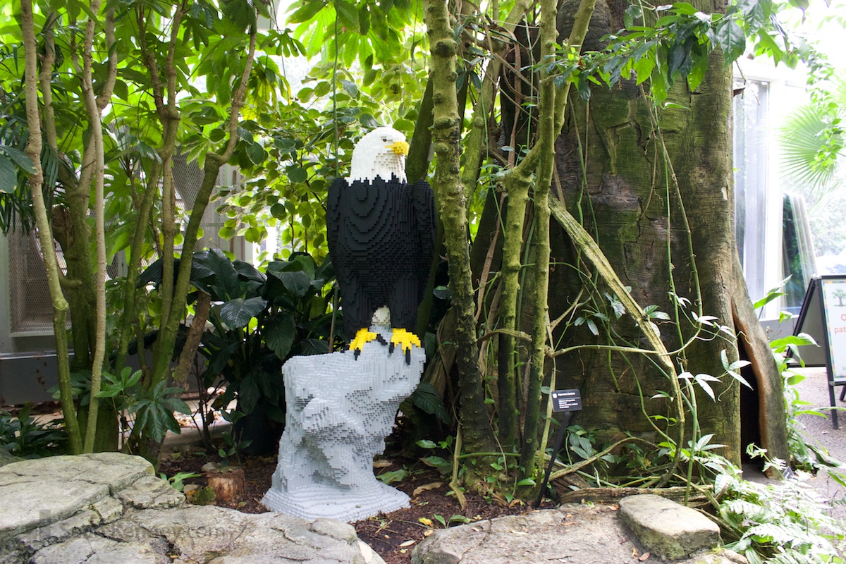 Art of the LEGO - American bald eagle