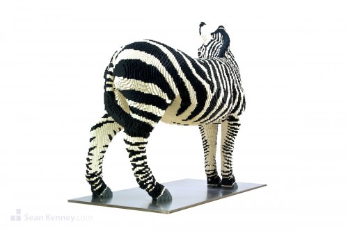Zebra 5