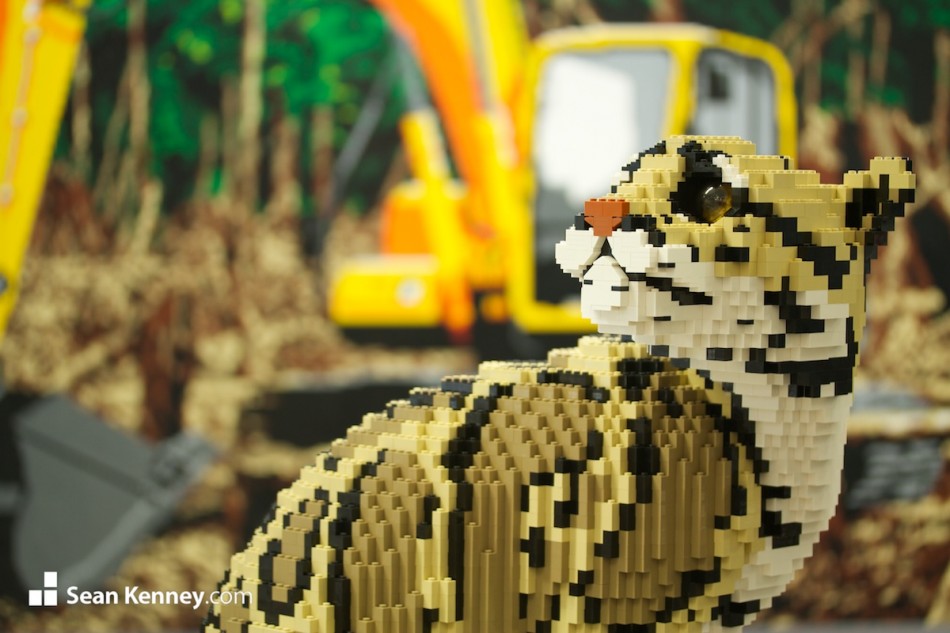 Best LEGO model - Deforestation