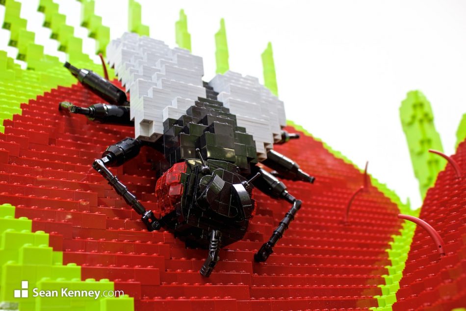 LEGO model - Venus Fly Trap