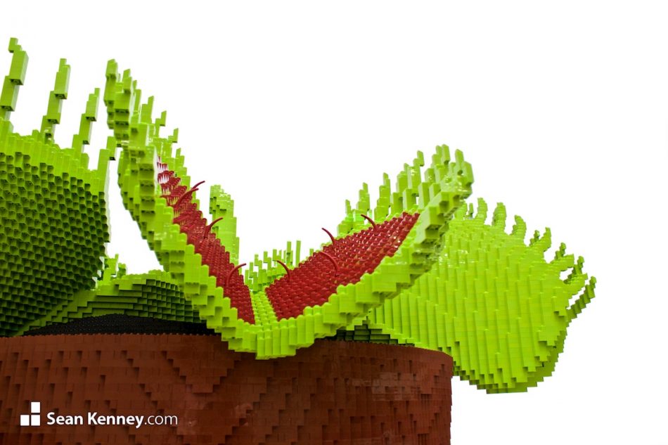 LEGOs exhibit - Venus Fly Trap