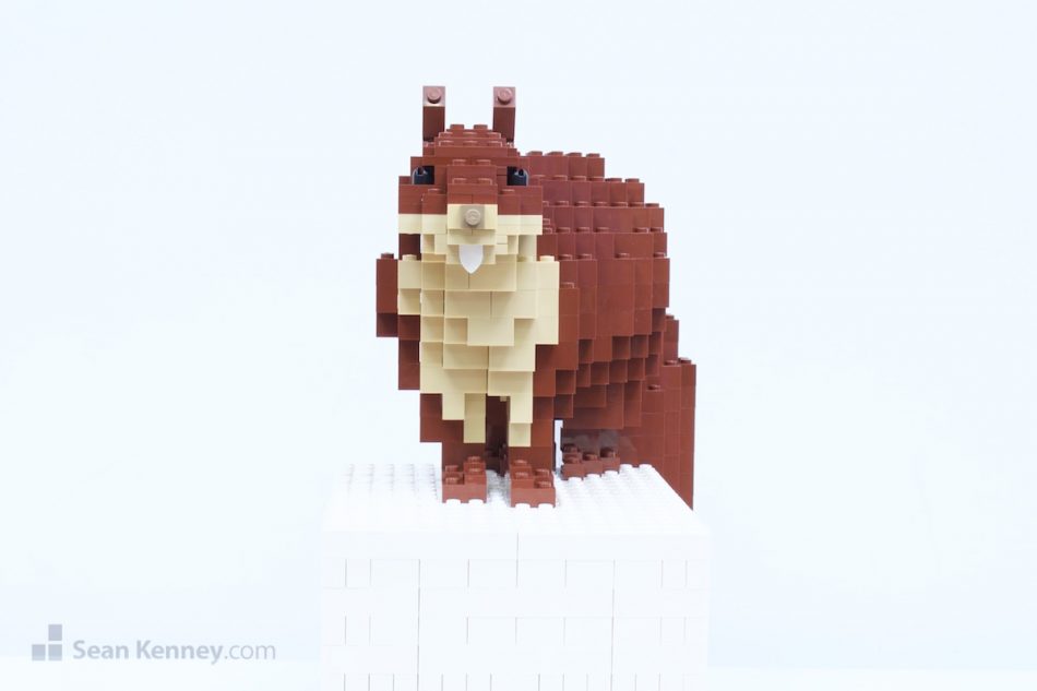 Amazing LEGO creation - Squirrels