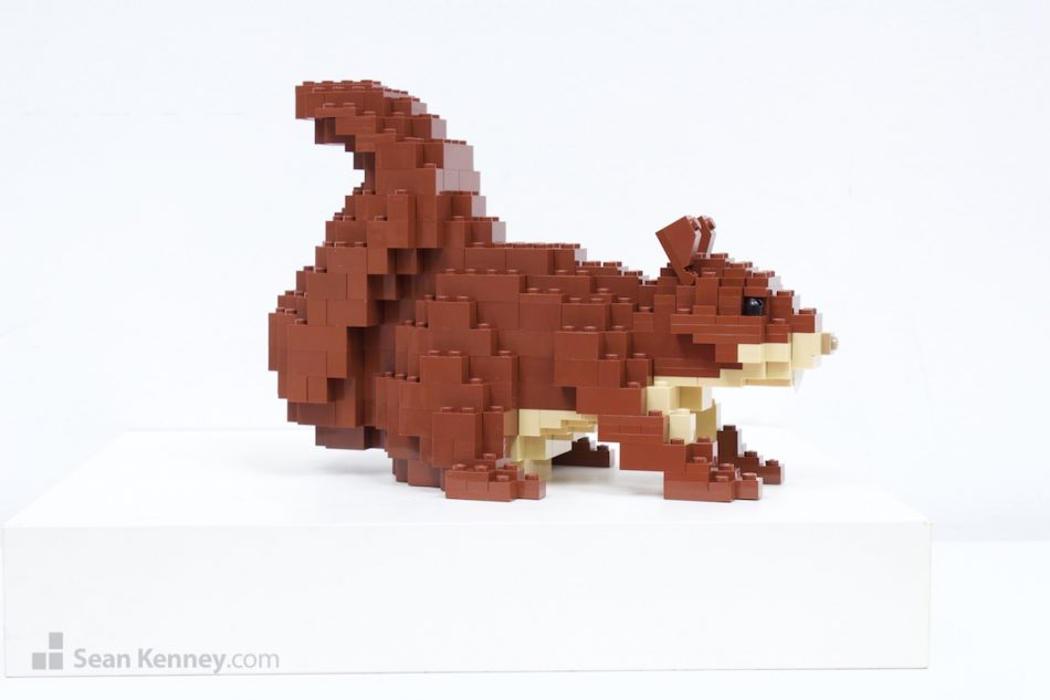 Famous LEGO builder - Squirrels