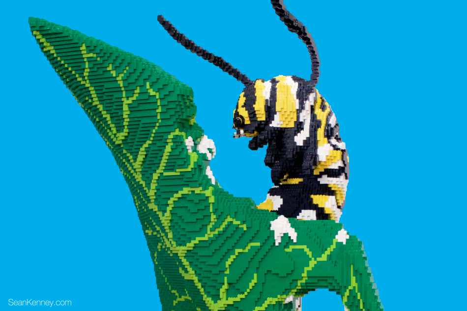 Greatest LEGO artist - Caterpillar