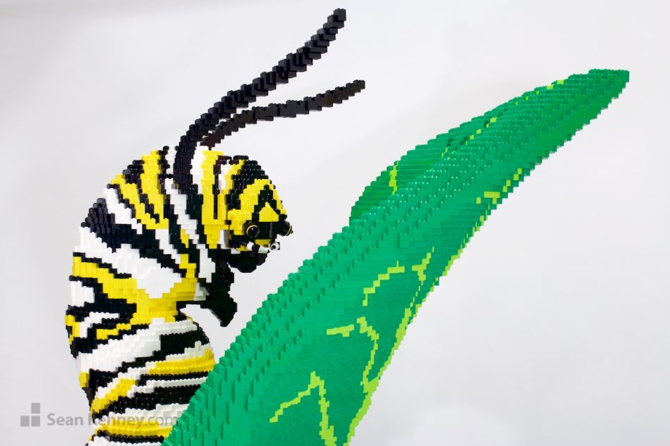 Famous LEGO builder - Caterpillar