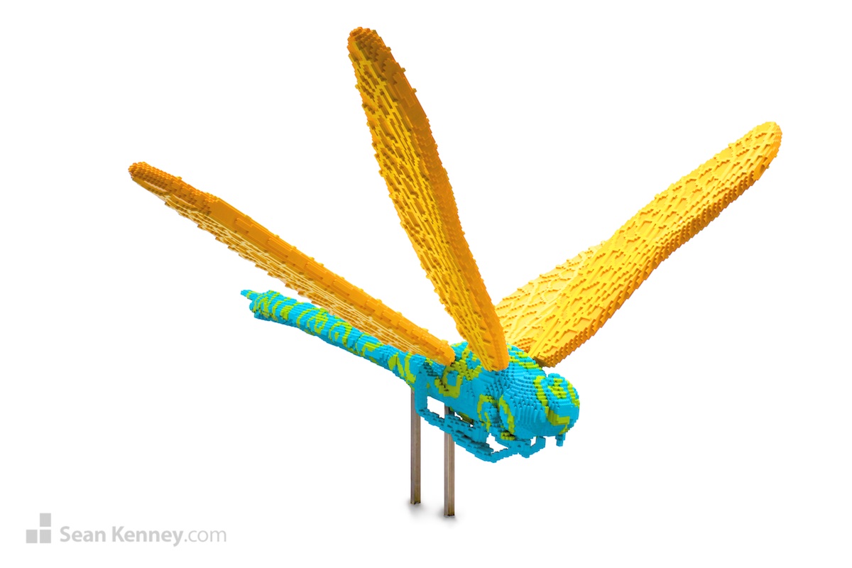 Sean Kenney's art with LEGO bricks - Golden blue POP dragonfly