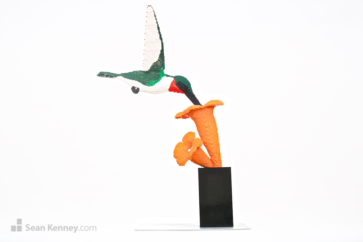 LEGO sculpture - Hummingbird feeding from a Trumpet Flower