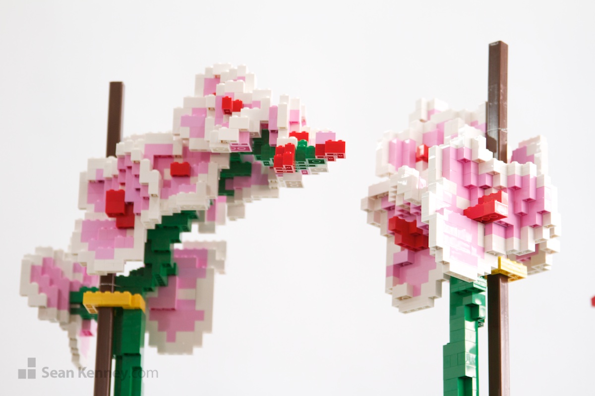 LEGO sculpture - Moth Orchid