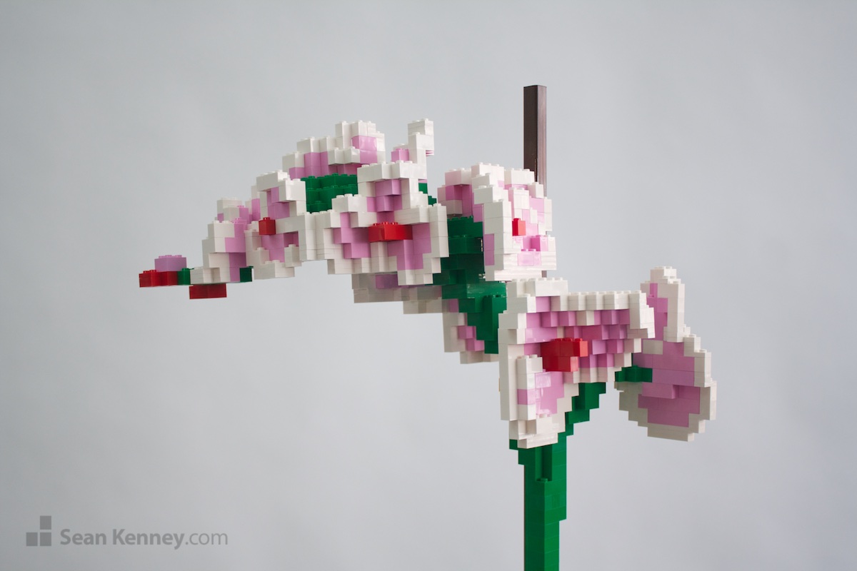 Art with LEGO bricks - Moth Orchid