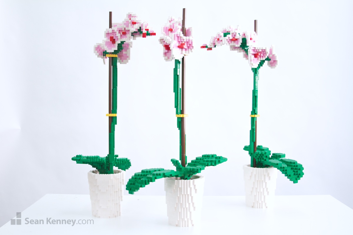 Art of the LEGO - Moth Orchid