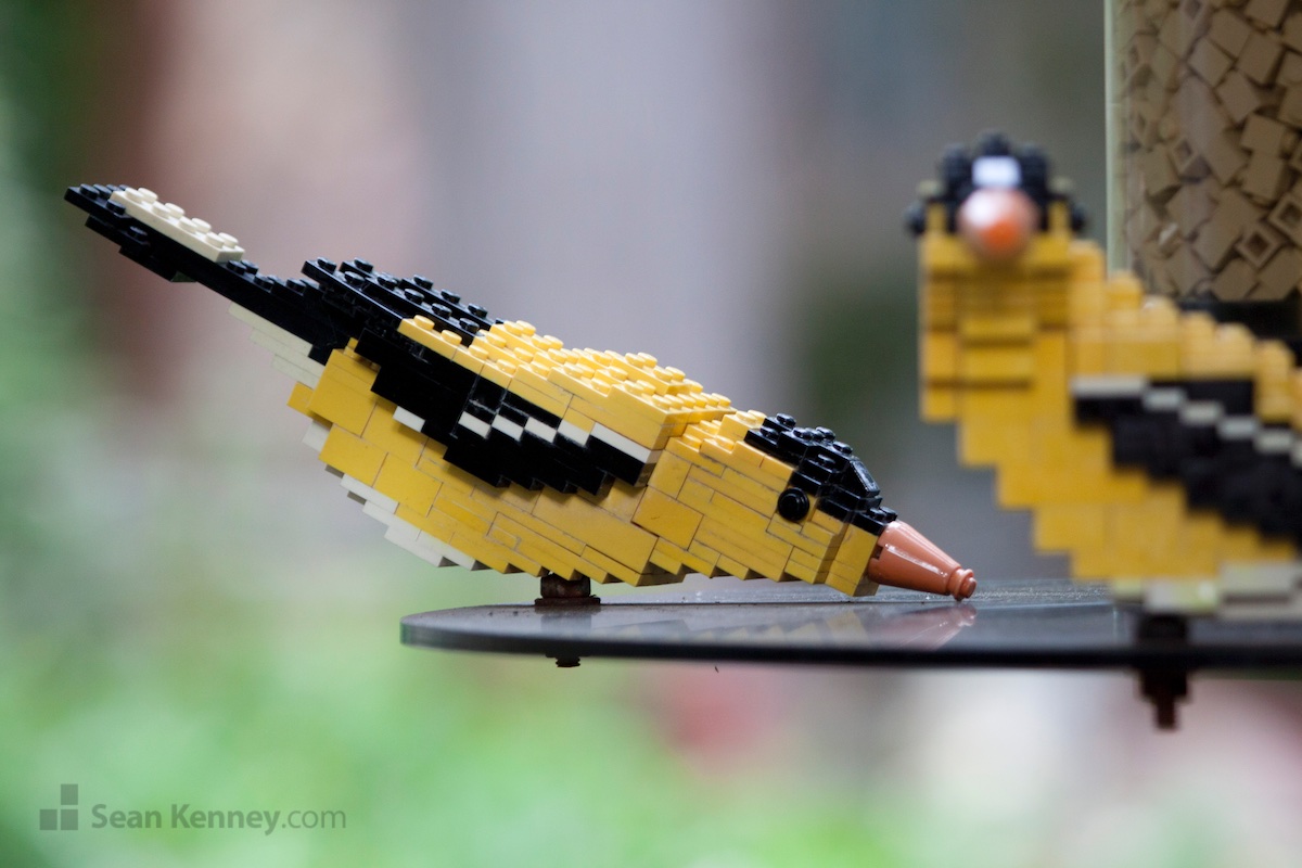LEGO art - Goldfinches on a birdfeeder