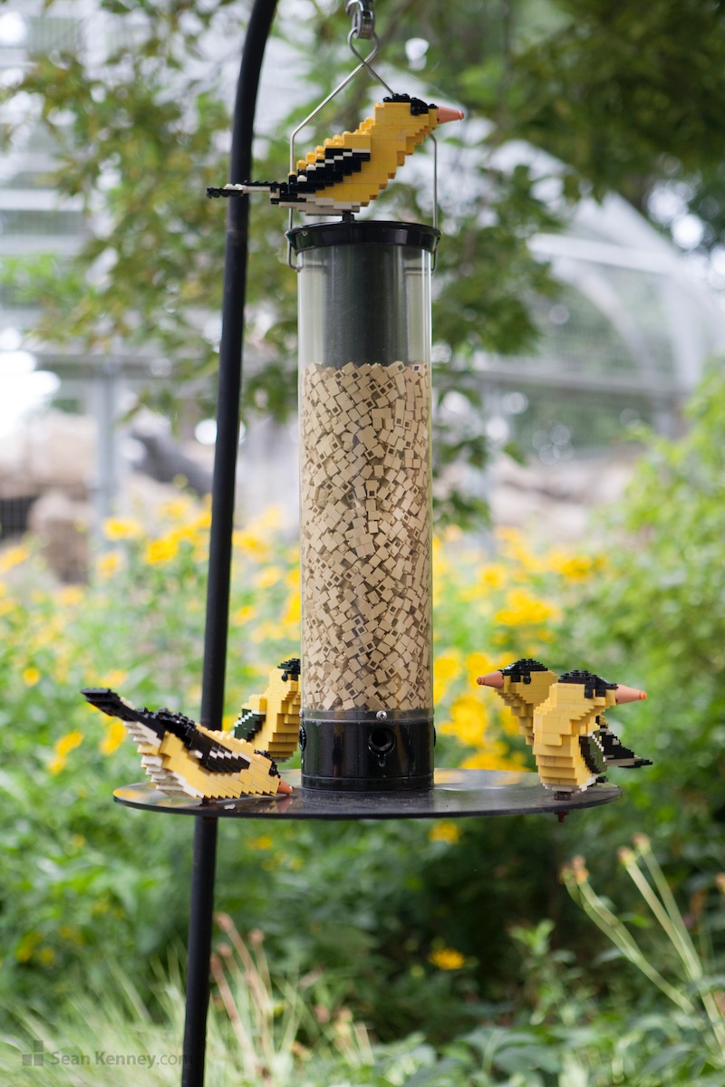 Famous LEGO builder - Goldfinches on a birdfeeder