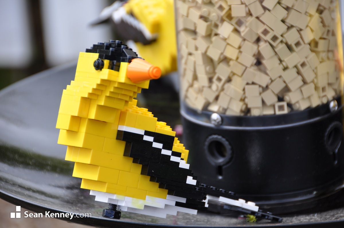 Greatest LEGO artist - Goldfinches on a birdfeeder