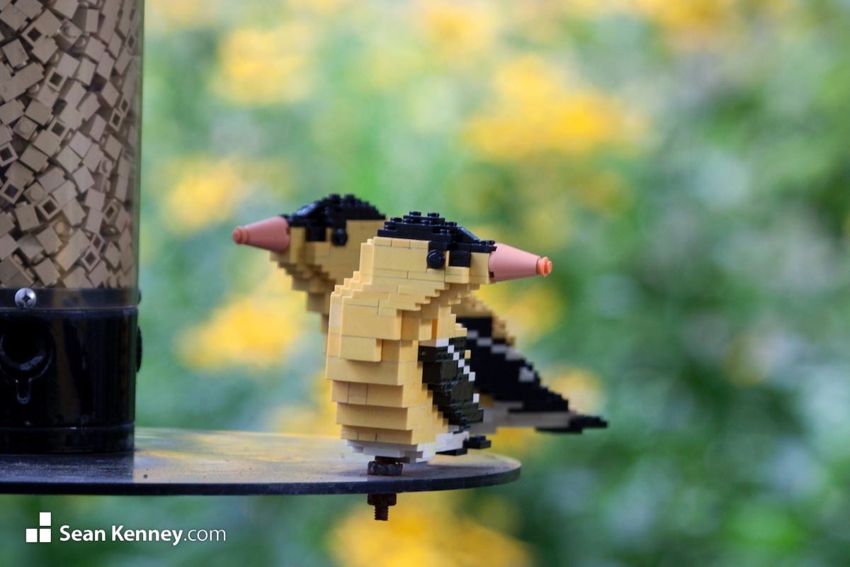 LEGO MASTER - Goldfinches on a birdfeeder