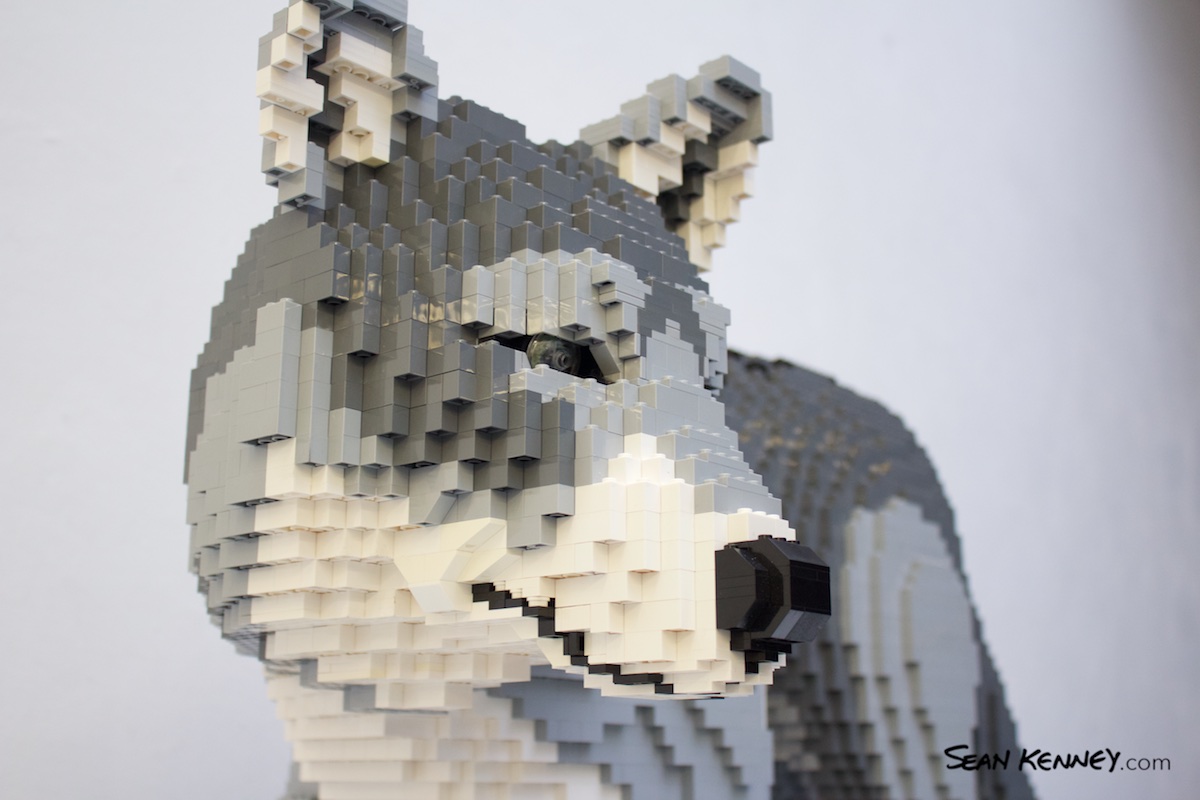 Art with LEGO bricks - Wolf