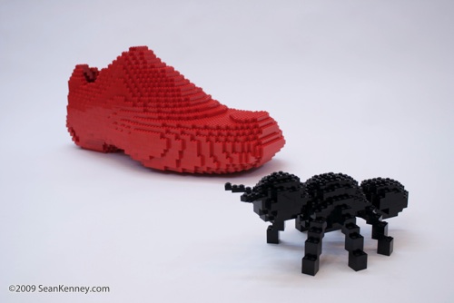 The Ant and the Shoe