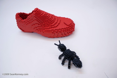 The Ant and the Shoe