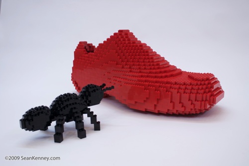 The Ant and the Shoe