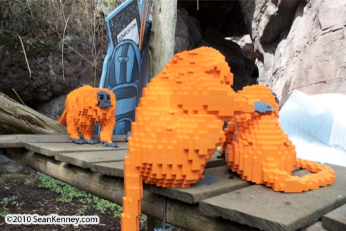 LEGO sculpture Sean Kenney golden lion tamarins monkey monkeys philadephila philly zoo creatures of habitat