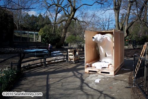 LEGO sculpture Sean Kenney polar bear polarbear arctic animal philadephila philly zoo creatures of habitat