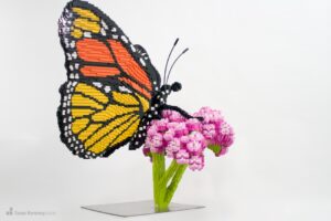 Monarch on milkweed