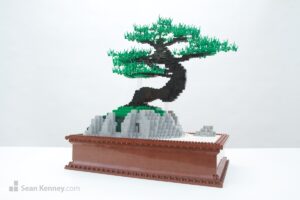 Bonsai tree