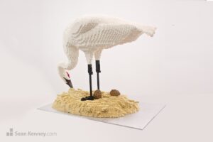 Whooping Crane