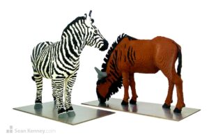 Zebra and wildebeest