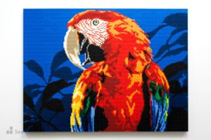 Parrots (red)