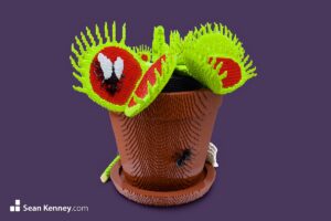 Venus Fly Trap