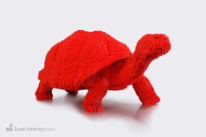 Big red Tortoise