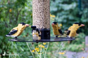 Goldfinches on a birdfeeder