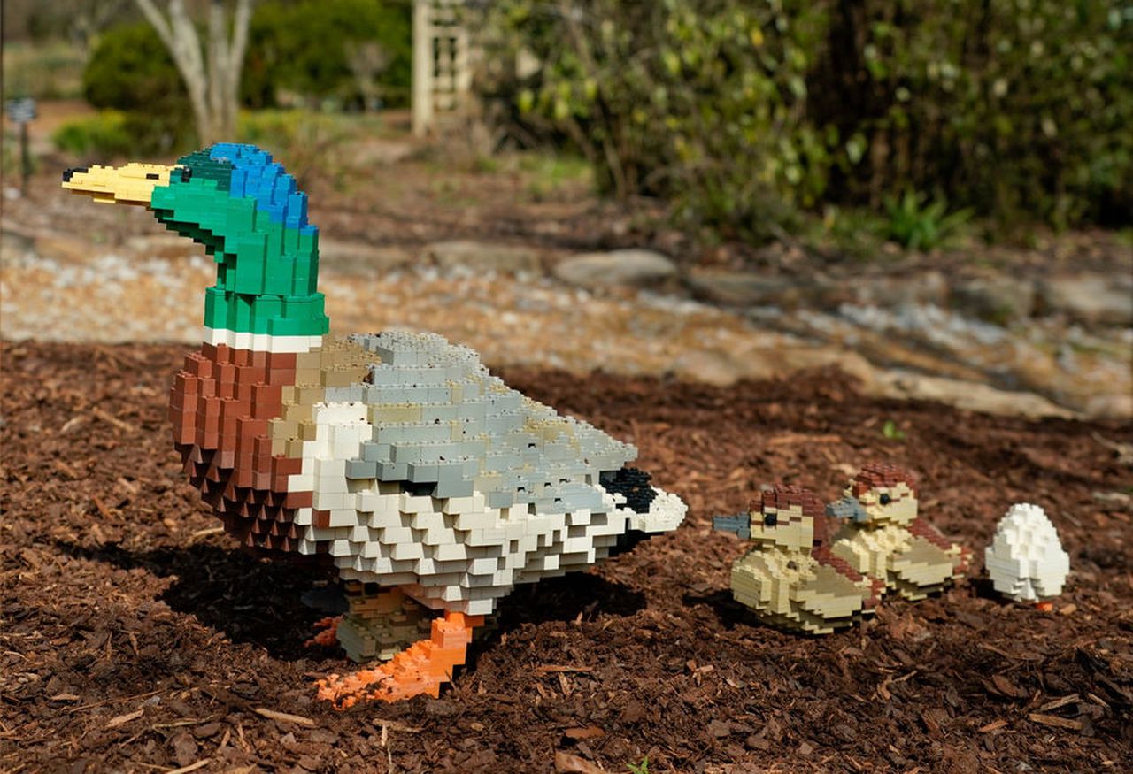 Duck-and-ducklings LEGO art by Sean Kenney