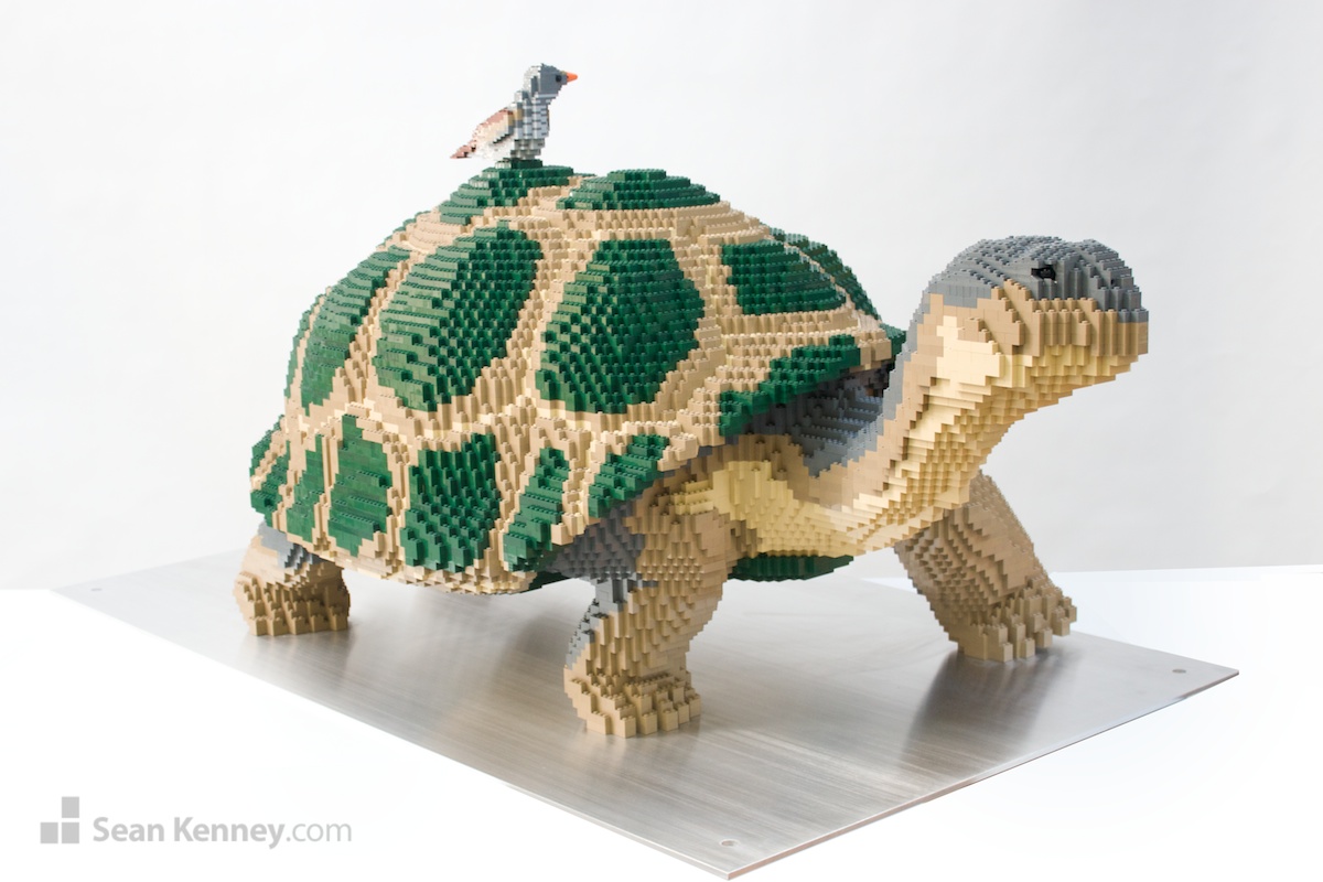 Galapagos-tortoise-and-finch LEGO art by Sean Kenney