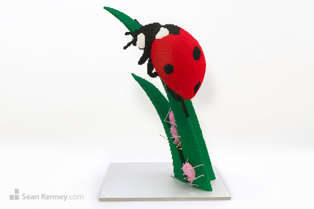 Ladybug-ladybird LEGO art by Sean Kenney