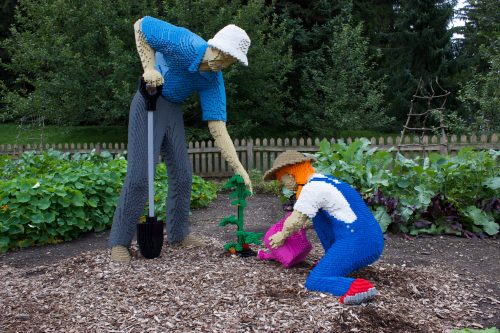 Grandfather and granddaughter gardening