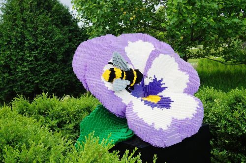 Pansy and bee