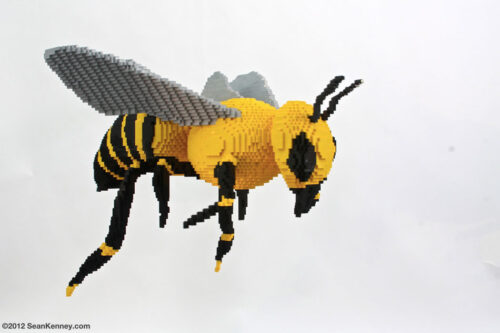 Bee