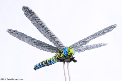 Dragonfly (2012)